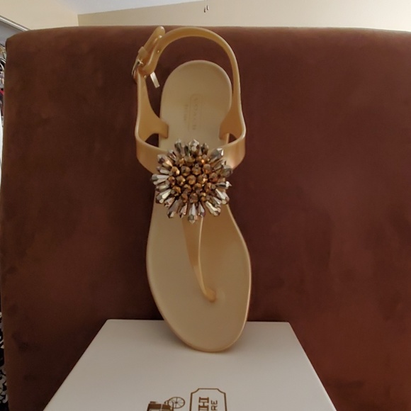 Coach Shoes - Coach Jelly Sandal